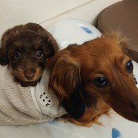 ♥️明日～営業時間♥️ 2020/06/14 16:34:31
