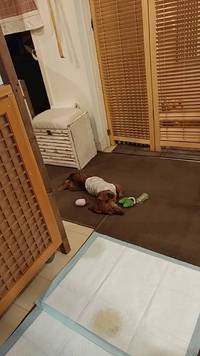 ♥️今日～営業時間♥️ 2018/07/16 08:44:09