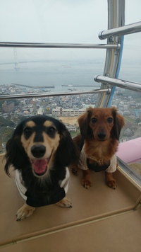 ♥️明日～営業時間♥️ 2019/11/24 14:43:21