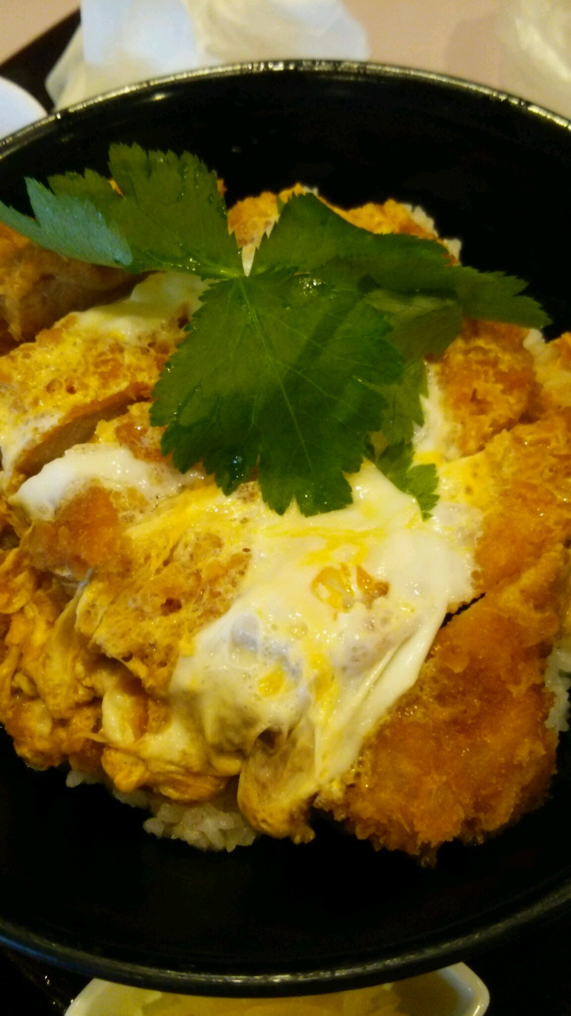 久しぶりのカツ丼