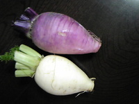 辛味大根でヒーハー