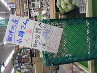 おつかれーす  