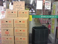 正月はミカンっしょ