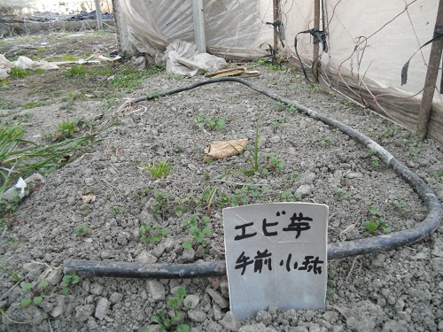 生産者さんを訪ねて　