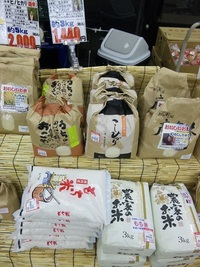 最近少しずつお米がうれてきています。
