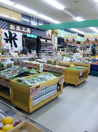 どないしたろうか！