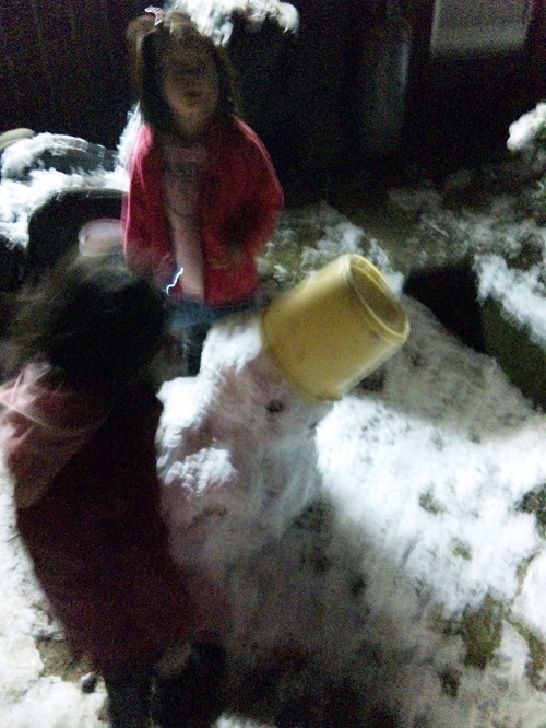 雪だるまも凍る寒さ