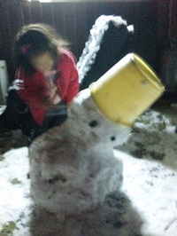 雪だるまも凍る寒さ