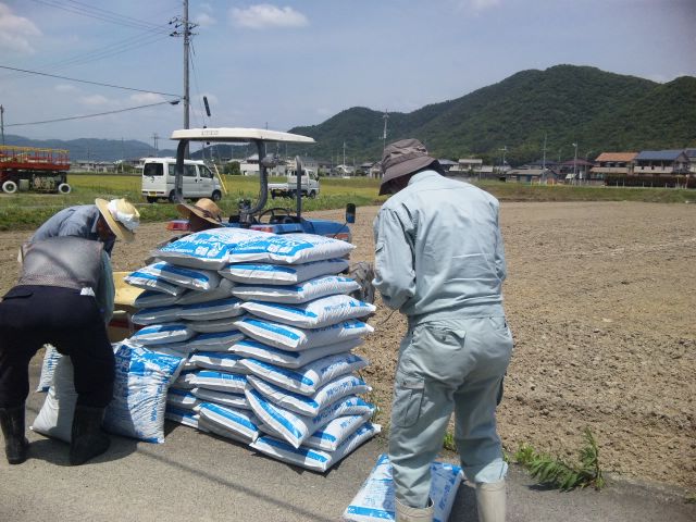 岩屋営農　AOJ農法米　ゴー