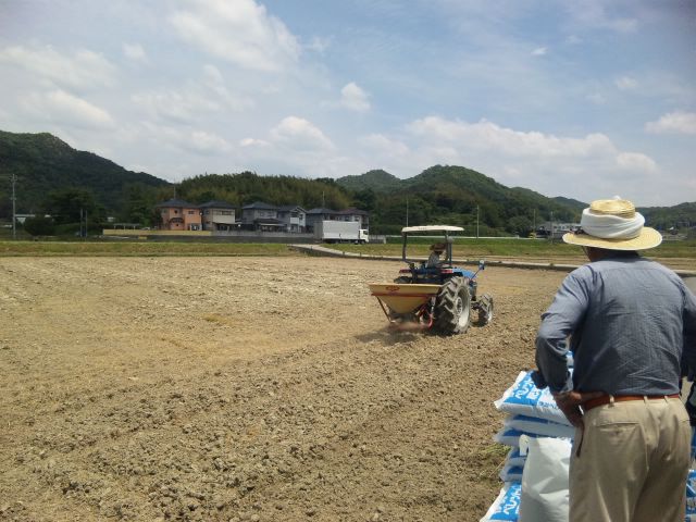 岩屋営農　AOJ農法米　ゴー