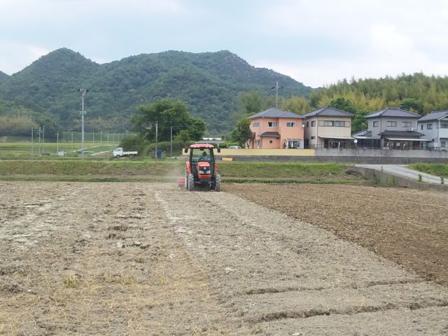 岩屋営農　AOJ農法米　ゴー