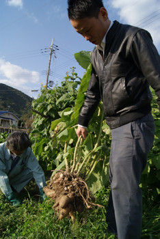義平さん（龍野市）