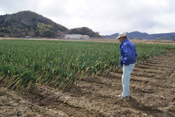 小幡さん（龍野市）