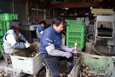 船引さん（姫路市）