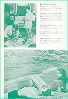 「いつも2人で」67年初公開　丸の内ピカデリー／松竹版パンフ