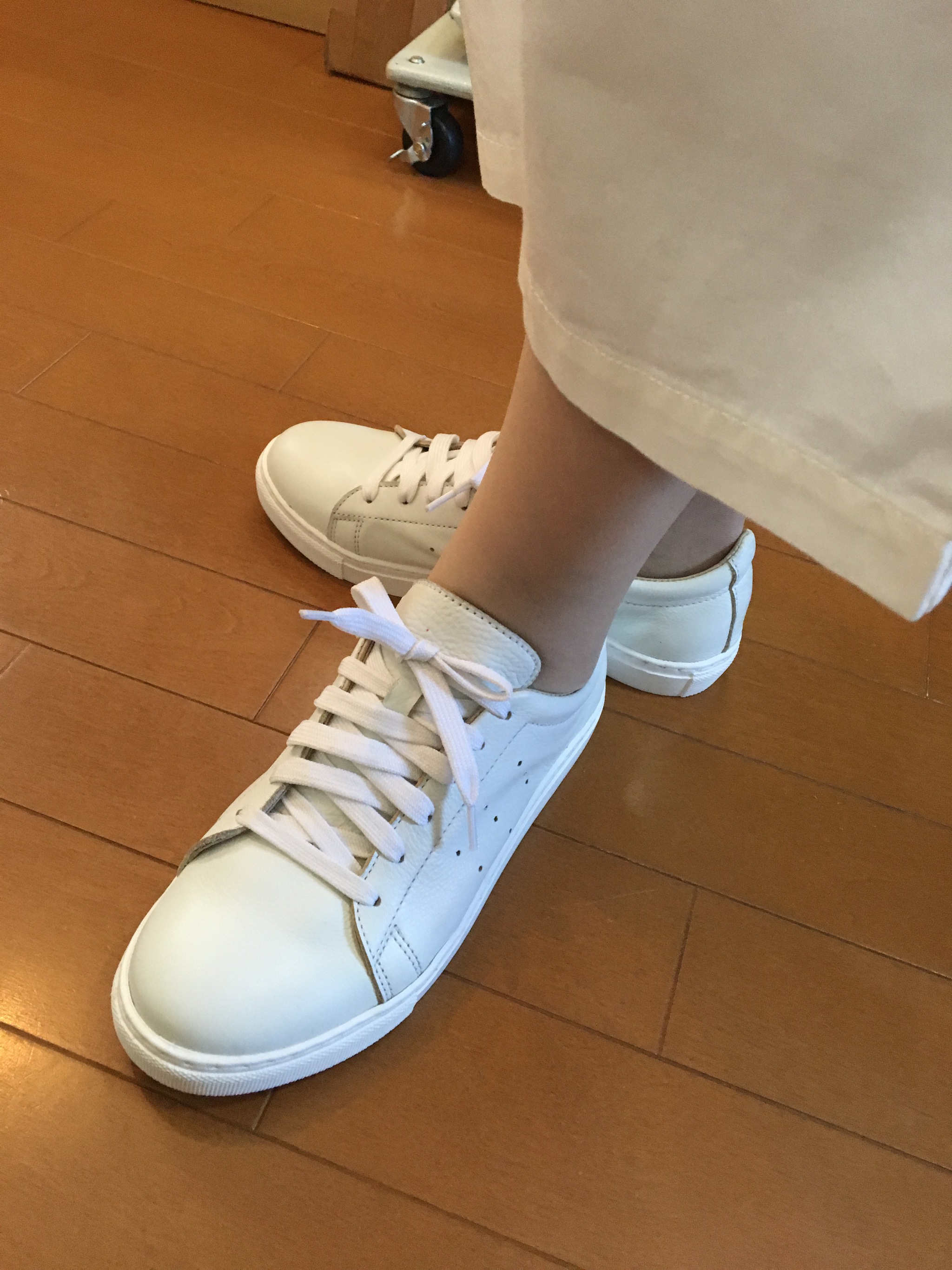 今日のご紹介です