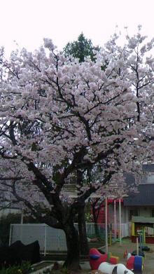 120411_1759~01.jpg