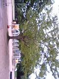 48058_s.jpg