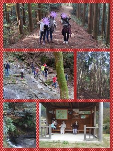 2015年11月24日