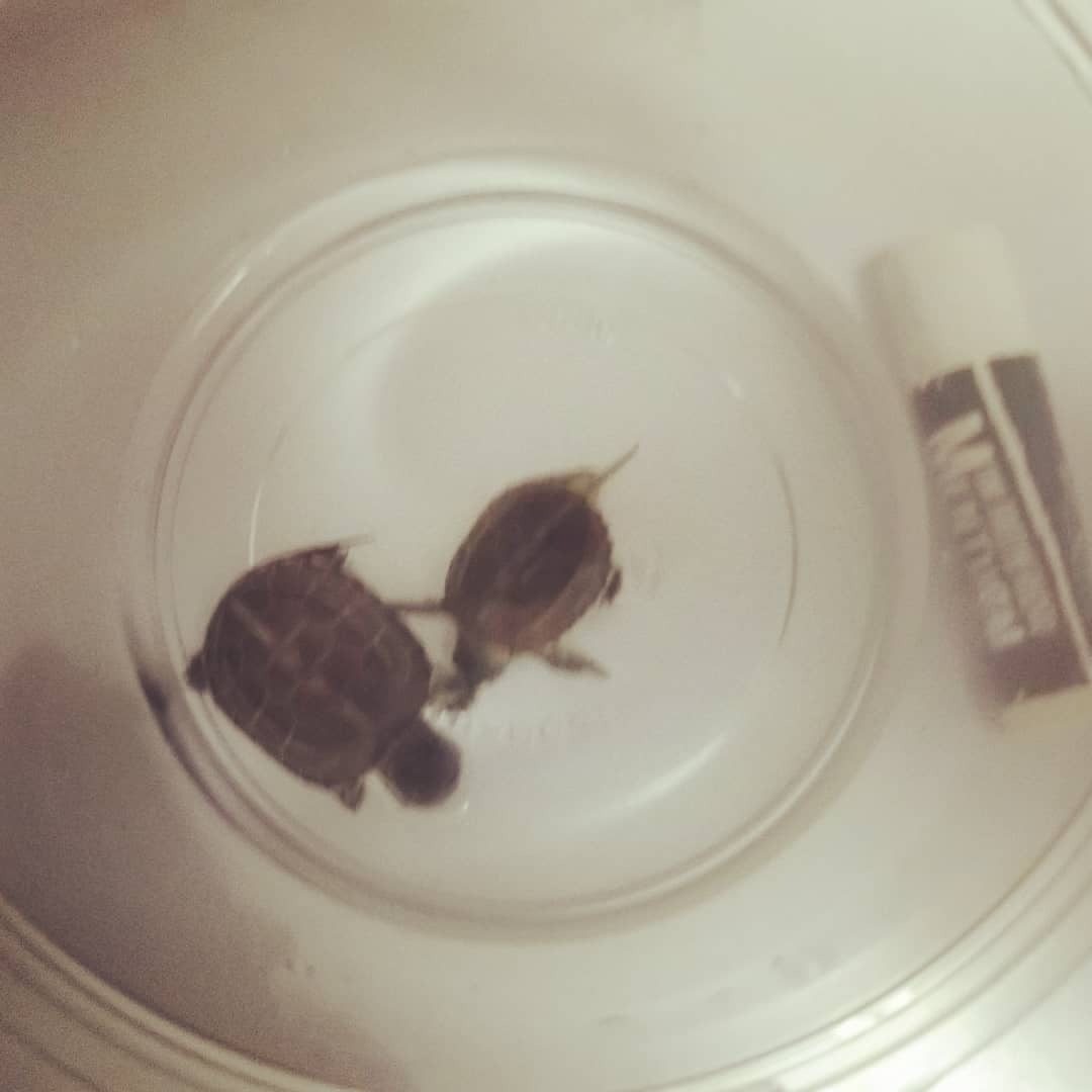家族 増えました！