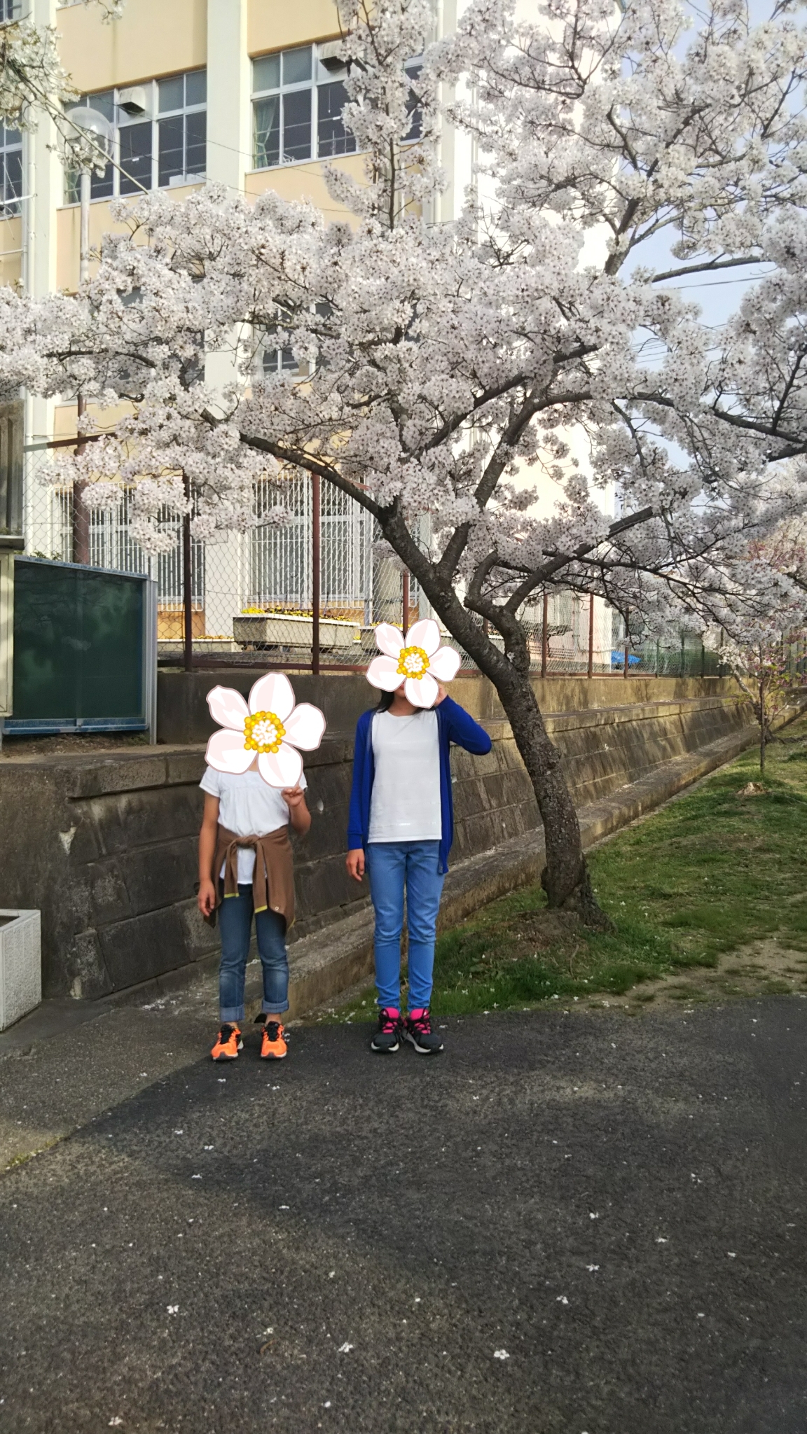 心を整える