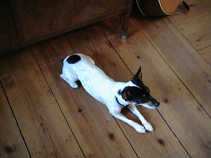 Ｂｉｌｌｙ