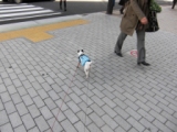 Im on my way