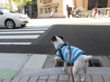 Im on my way