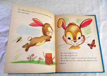 絵本 Bea Rabin Seiden : The Hungry Baby Bunny