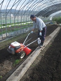  亀岡の大西さんのハウスで土作りをしました。