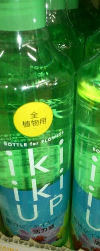 園芸業界もおしゃれに・・・・・・