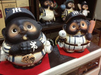信楽に来ました
