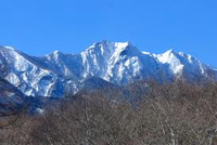 出張