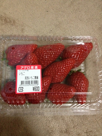 最近のお気に入り