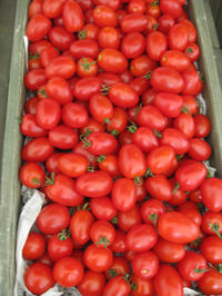 産直野菜って何だ