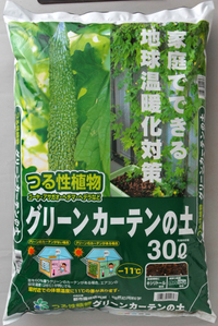 グリーンカーテン