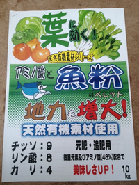 中国から輸入、、、、新商品