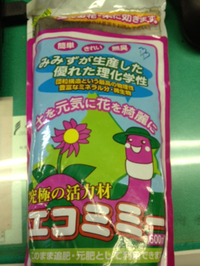 エコミミー