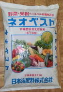 ネオベストーーー天然貝化石