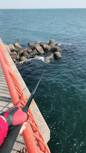 伯楽の大家 平磯海づり公園の釣果報告