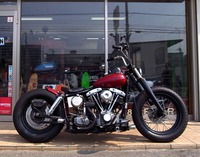 SHOVELHEAD