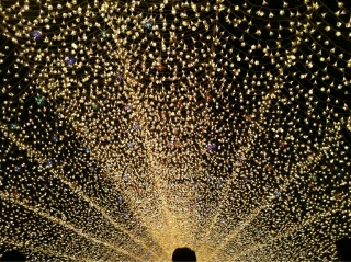2011年12月11日