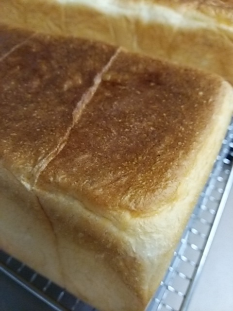 夏期休業のお知らせ