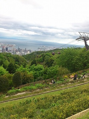 ハーブ園