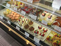 ショーケース