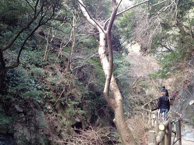 写真 13-01-20 9 16 37.jpg