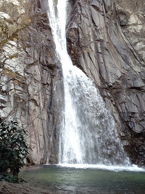写真 13-01-20 9 17 46.jpg