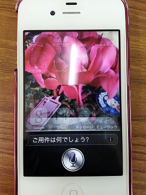 s-20130208_105053.jpg