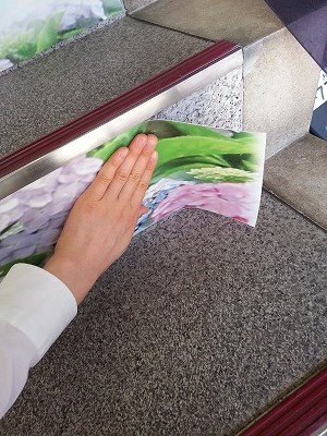20130604_113716.jpg