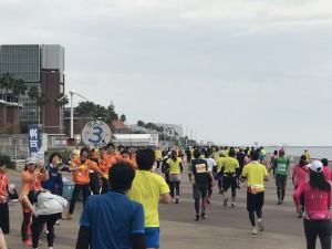 IMG_0087